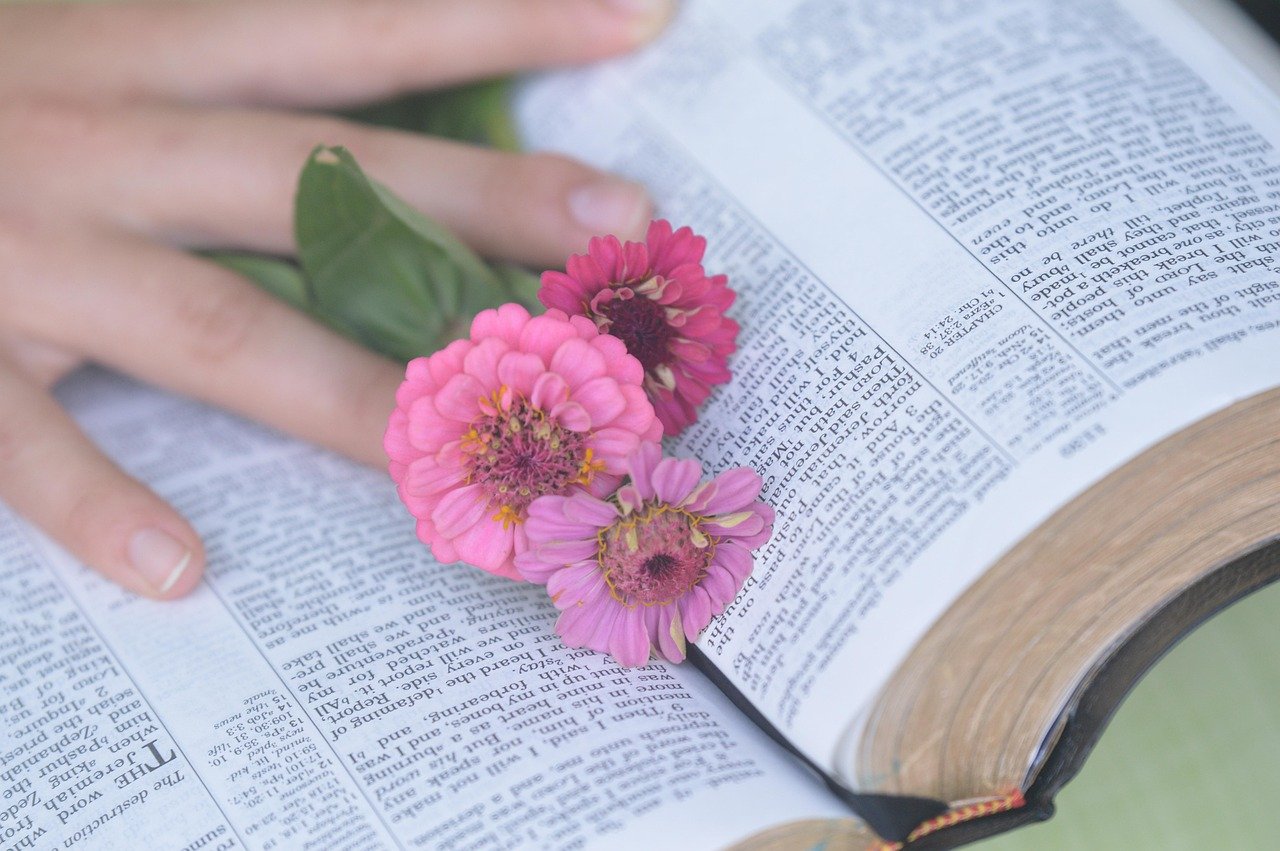 bible, flower wallpaper, flowers, hand, beautiful flowers, woman, nature, christian, flower background, blue bible